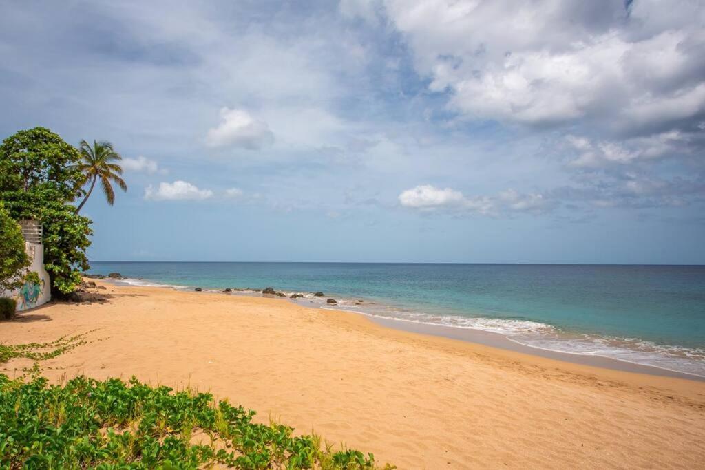 Vwe Moun Bay Deshaies Exterior foto